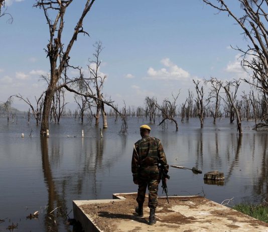 WWF: do Better instead of just good my