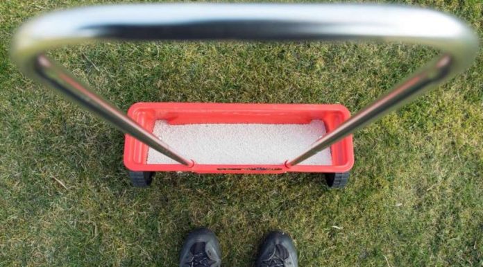 From the sun-scorched grass with SOS-Spa save