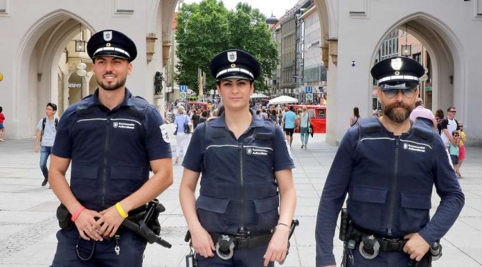 The Sheriff’s Report: balance after one year, the Local foreign service