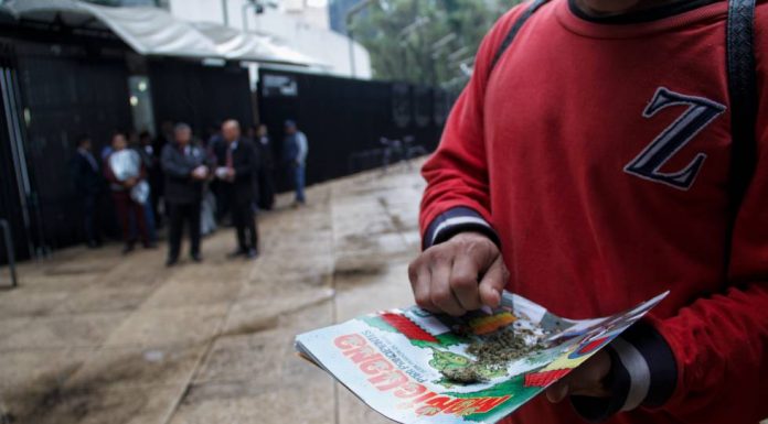 Pressure groups frustrate the regulation of marijuana in Mexico