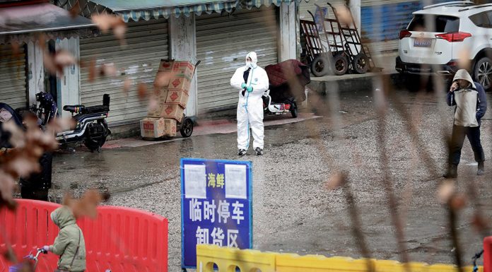 A new virus from China: the five questions asked by the scientists (Nature, UK)