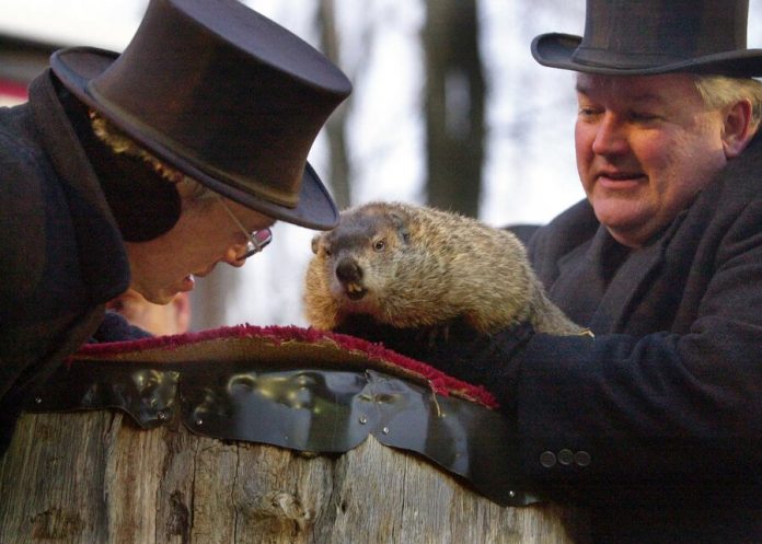 Animal rights activists propose to replace the Groundhog Phil with robot