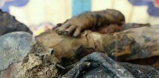 In Egypt because of the thieves was found a vault of mummies