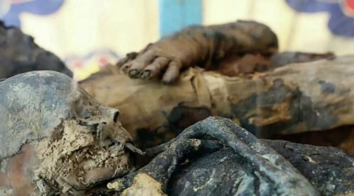 In Egypt because of the thieves was found a vault of mummies