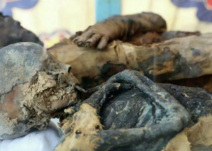In Egypt because of the thieves was found a vault of mummies