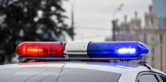 In Moscow detained a suspect in the theft of the icon