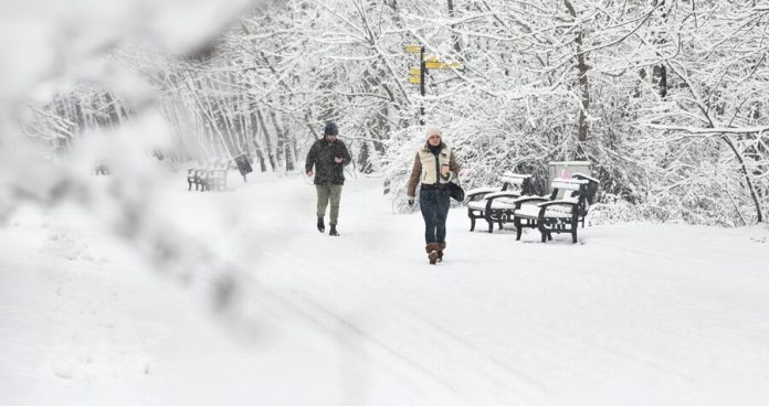 Muscovites promised frost next week