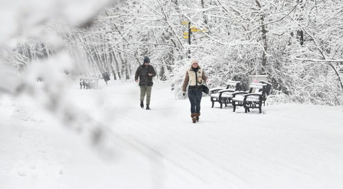 Muscovites promised frost next week Muscovites promised frost next week