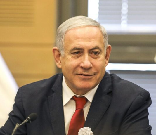 Netanyahu thanked Putin for a pardon Naamah Issachar