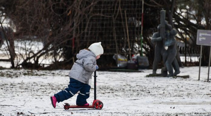 Putin instructed to enter a payment to low-income families for children from 3 to 7 years Putin instructed to enter a payment to low-income families for children from 3 to 7 years
