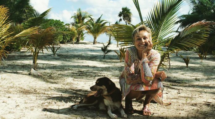 Relatives Andreichenko has not approached the Russian Embassy in Mexico Relatives Andreichenko has not approached the Russian Embassy in Mexico