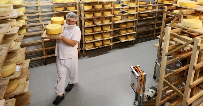 Russian cheesemaking pleasing to Western sanctions: 