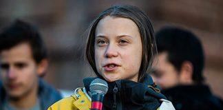 Swedish MPs nominated Greta Thunberg for the Nobel peace prize