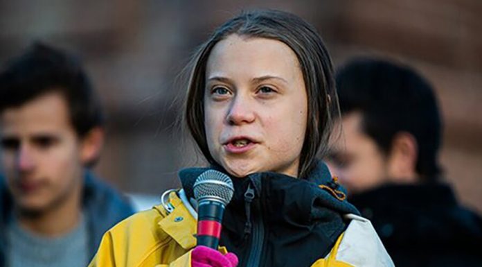 Swedish MPs nominated Greta Thunberg for the Nobel peace prize Swedish MPs nominated Greta Thunberg for the Nobel peace prize