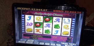 The activities of the underground gambling club stopped in Khimki
