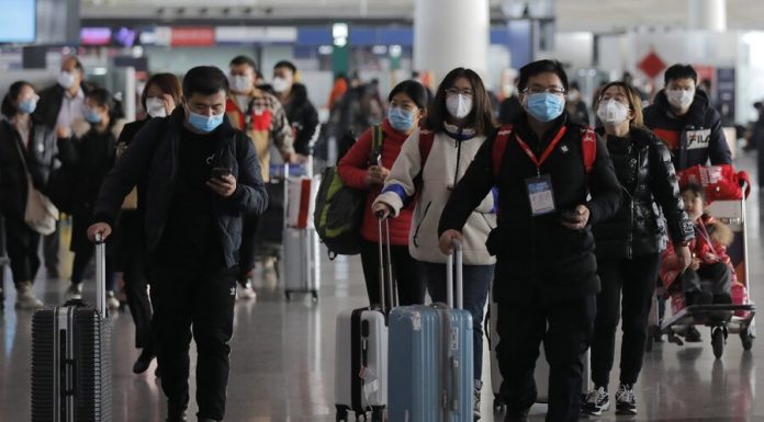 The Russian government will suspend the issuance of work visas to Chinese citizens