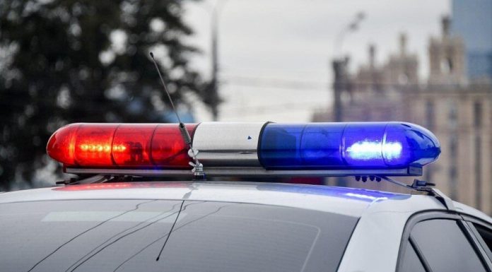 A man stole a phone from a customer of the bookmaker in the center of Moscow