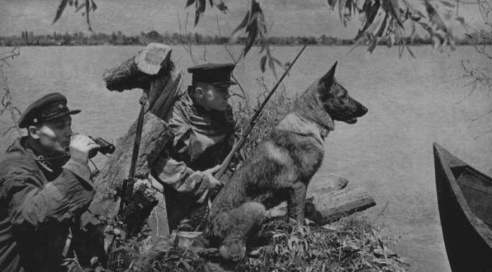 “Air bag” and other tricks used by spies in order to knock the dog off the scent "Air bag" and other tricks used by spies in order to knock the dog off the scent