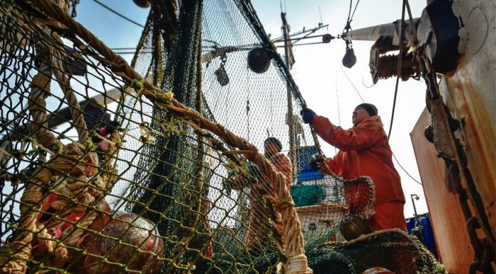 Alaska has estimated the losses from the Russian predamage