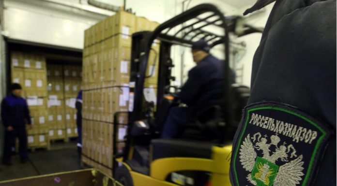 Carnations from Ecuador were infected with flower thrips