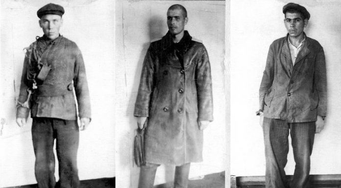 “Dark secrets Beria”: why didn’t he want you to catch a gang of Ivan Mitin "Dark secrets Beria": why didn't he want you to catch a gang of Ivan Mitin