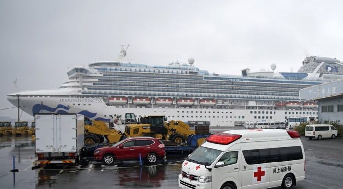 Eight more Russians left the ship Diamond Princess – Embassy