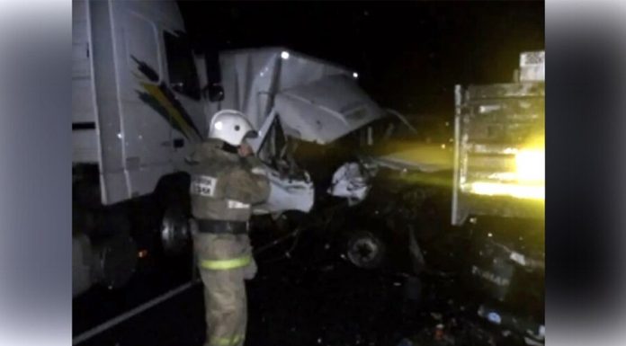 Eight Ukrainians killed in road accident in Pskov region