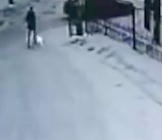 Escaped from a court in Novokuznetsk the perpetrator is caught