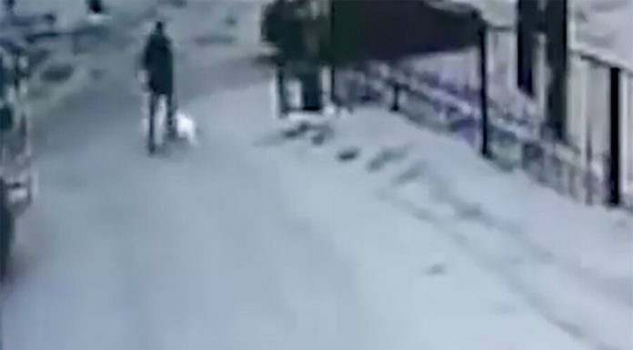 Escaped from a court in Novokuznetsk the perpetrator is caught