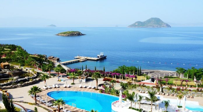 Experts have found out what holiday do Russians prefer in 2024