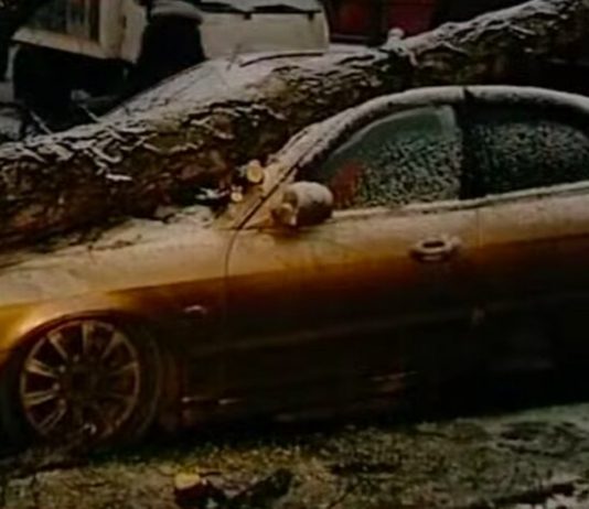 Fallen trees blocked traffic in the East of Moscow Fallen trees blocked traffic in the East of Moscow