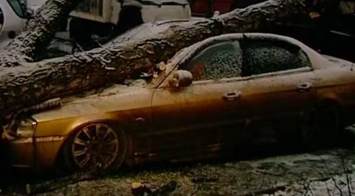 Fallen trees blocked traffic in the East of Moscow