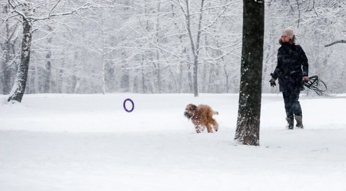 Forecasters told, when in Moscow will melt the snow Forecasters told, when in Moscow will melt the snow