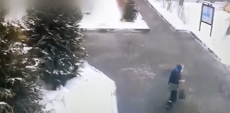 Four employees of the kindergarten was fired after the departure of the child from the institution