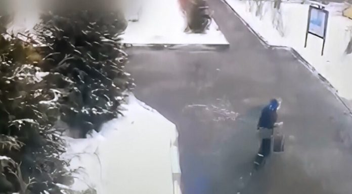 Four employees of the kindergarten was fired after the departure of the child from the institution