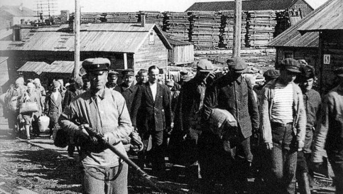 How many prisoners of the Gulag fought in the great Patriotic