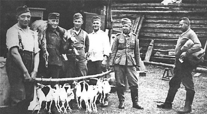 Hungarian soldiers of Hitler: why the soldiers didn’t take prisoners Hungarian soldiers of Hitler: why the soldiers didn't take prisoners