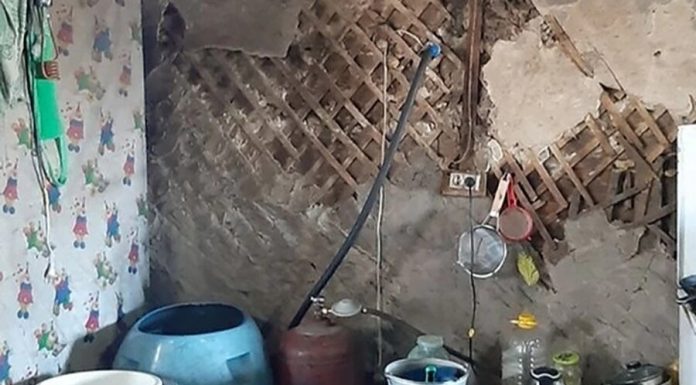 In Primorye, the child lived on a farm with animals