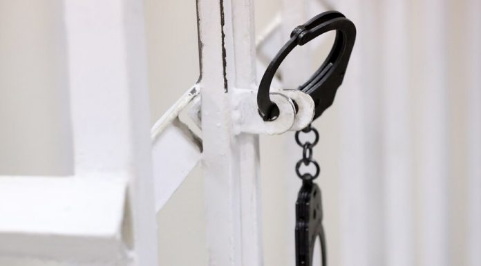 In the Kremlin commented on the increase in the number of criminal cases against business In the Kremlin commented on the increase in the number of criminal cases against business