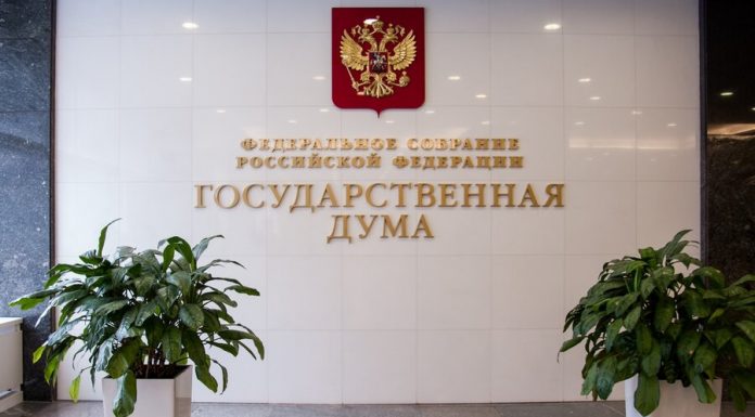In the state Duma introduced amendments about extending netcapital In the state Duma introduced amendments about extending netcapital