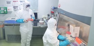 Manufacture of potential drugs from the coronavirus launched in China