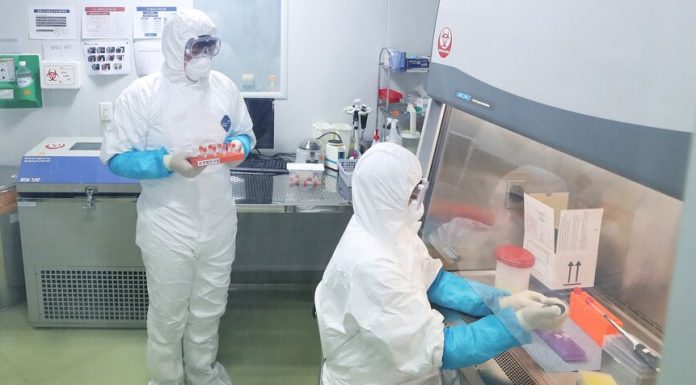 Manufacture of potential drugs from the coronavirus launched in China