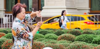 More than 30 gardens will be available in summer at the festival "Flower jam"