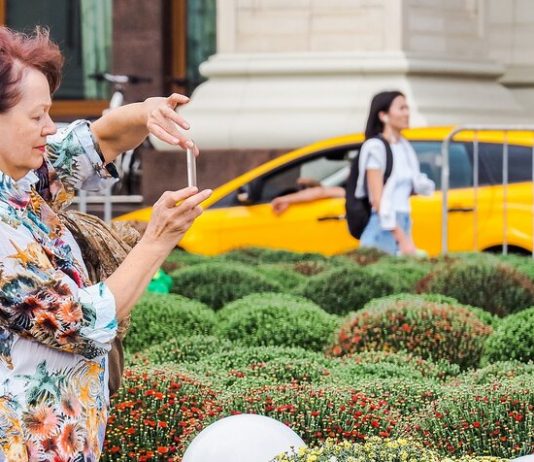 More than 30 gardens will be available in summer at the festival “Flower jam” More than 30 gardens will be available in summer at the festival "Flower jam"