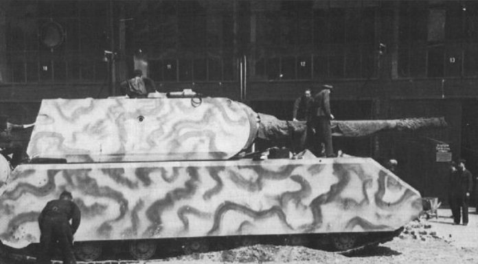 Mouse: what happened to spartancami Hitler Mouse: what happened to spartancami Hitler