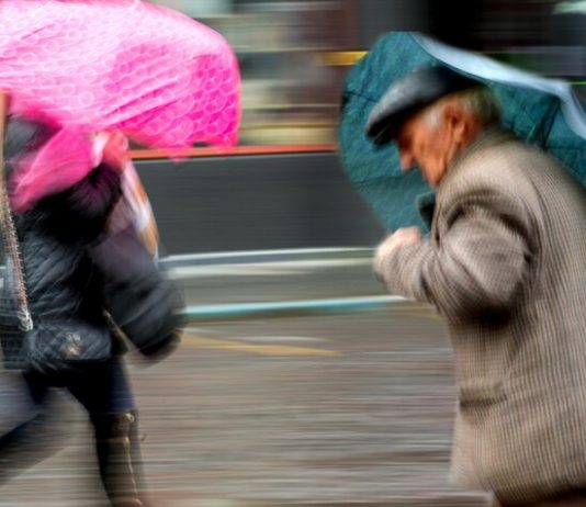 Muscovites warned of gusty winds Muscovites warned of gusty winds