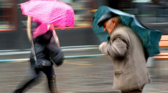 Muscovites warned of gusty winds