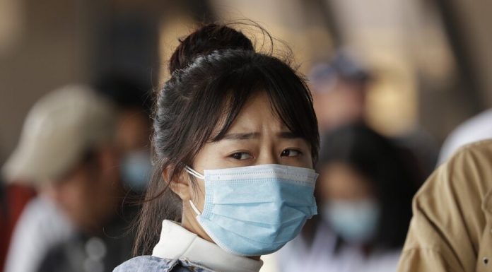 Outbreaks of highly pathogenic avian influenza recorded in the two countries