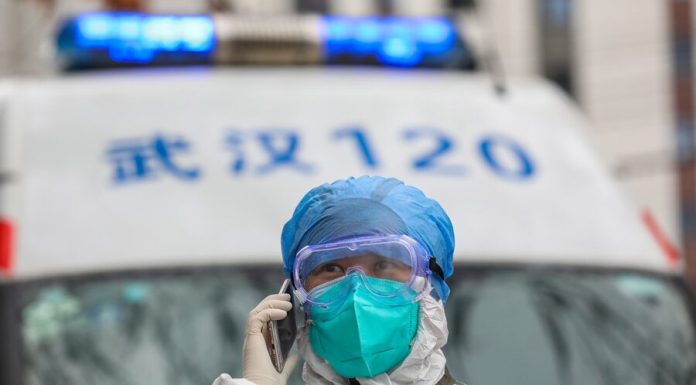 Scholars of China have called the most probable source of the coronavirus