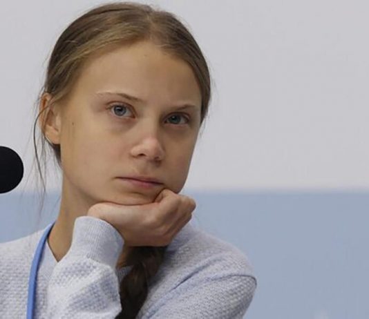 Scientists have named a new species of snail in honor of Greta Thunberg Scientists have named a new species of snail in honor of Greta Thunberg